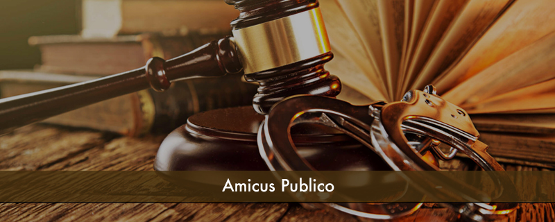 Amicus Publico 